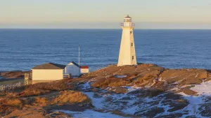 Historical St John's & Cape Spear Tour